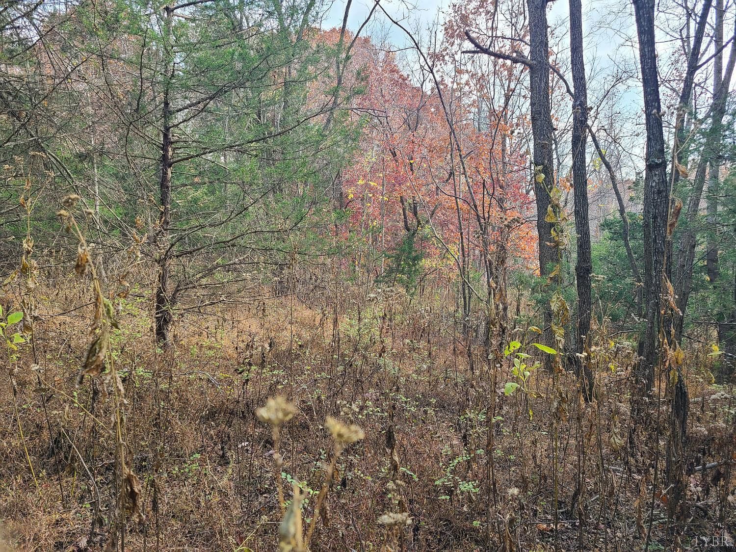 0 Pittsville Rd LOT 12 Gretna, VA 24557  | Land/Lot