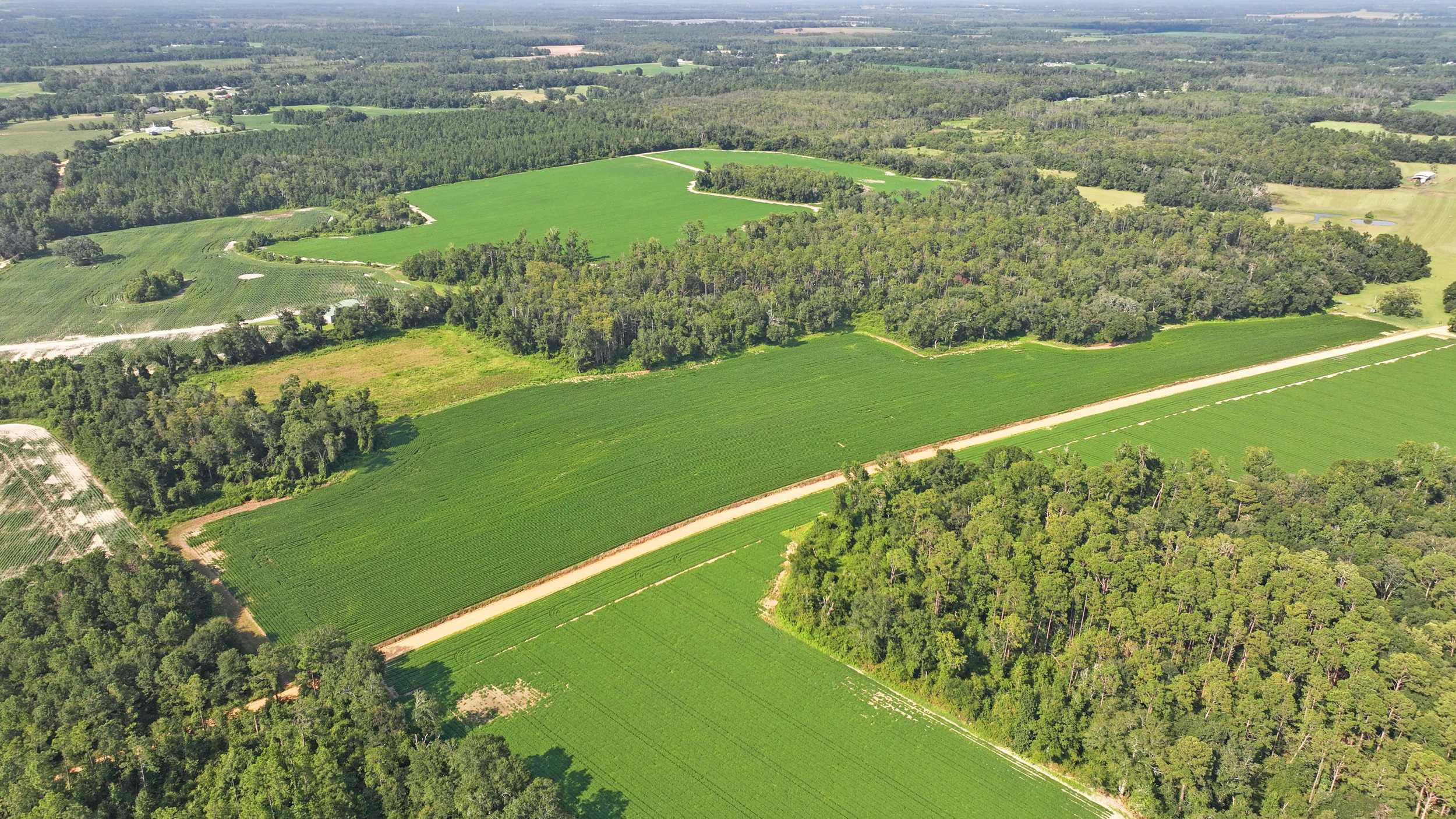 0000 Eldridge Road, Cottondale, FL, 32431 - Thumbnail 3