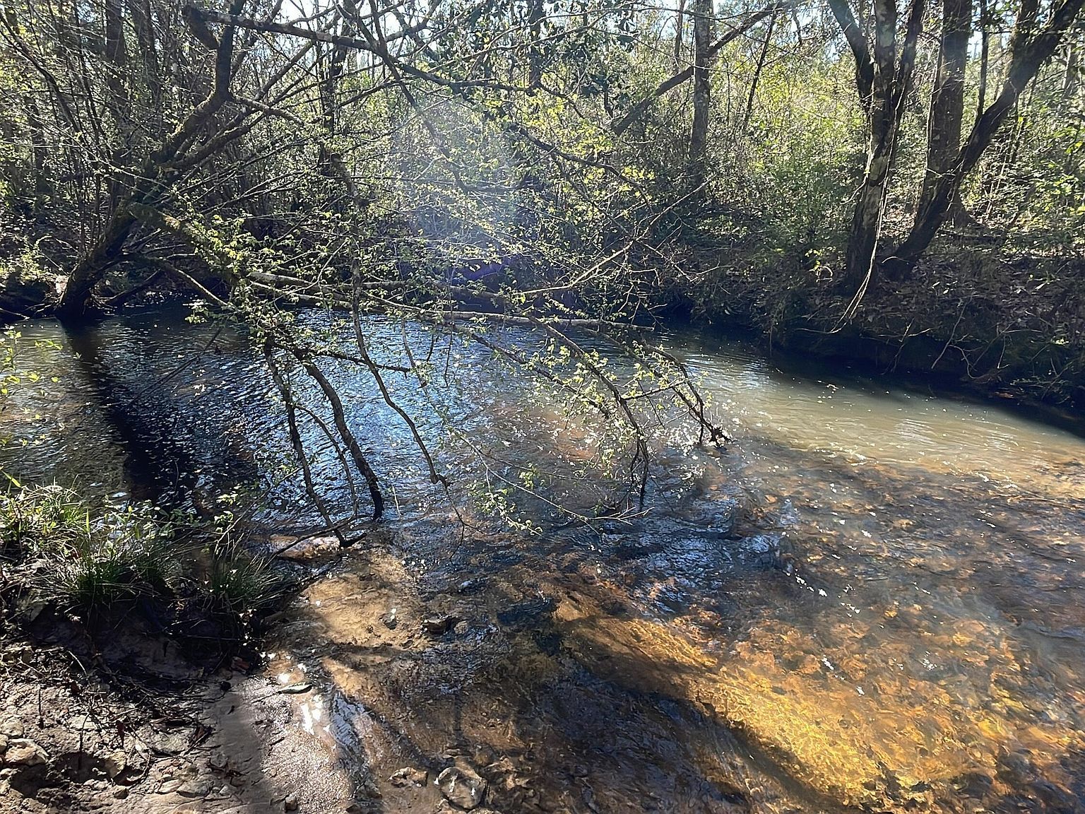 37 Ten Mile Rd Bonifay, FL 32425  | Land/Lot