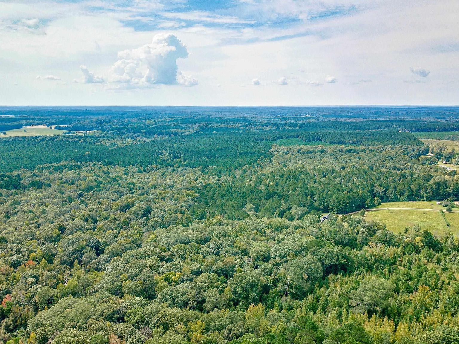 525 Patterson Rd Choudrant, LA 71227  | Land/Lot