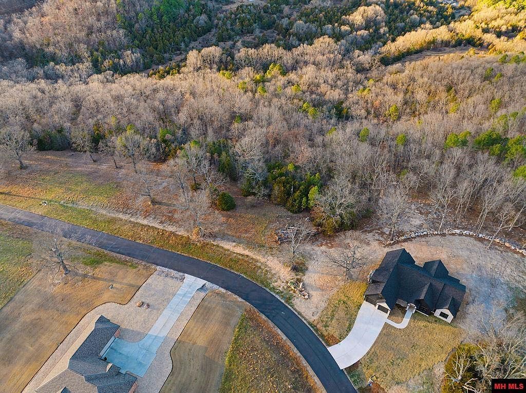 010-11219-014 Denmark Cir Mountain Home, AR 72653  | Land/Lot