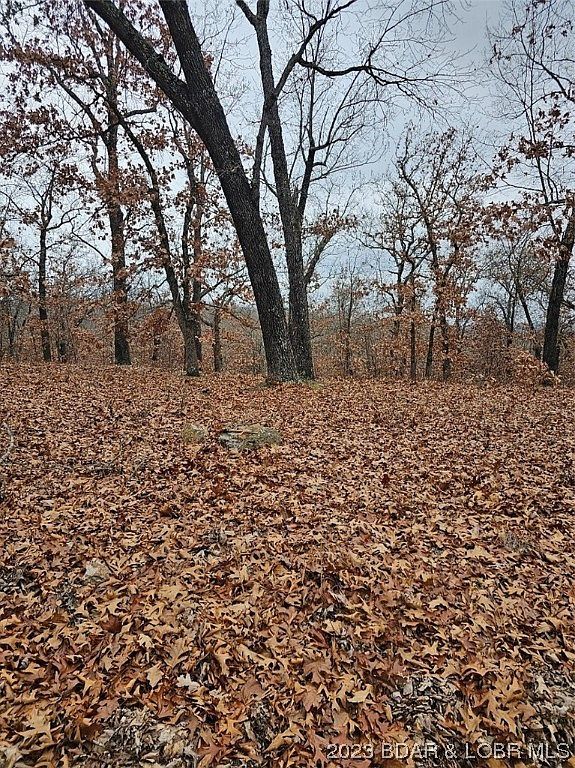 LOT 1448 Charlap Ln Edwards, MO 65326 | Land/Lot