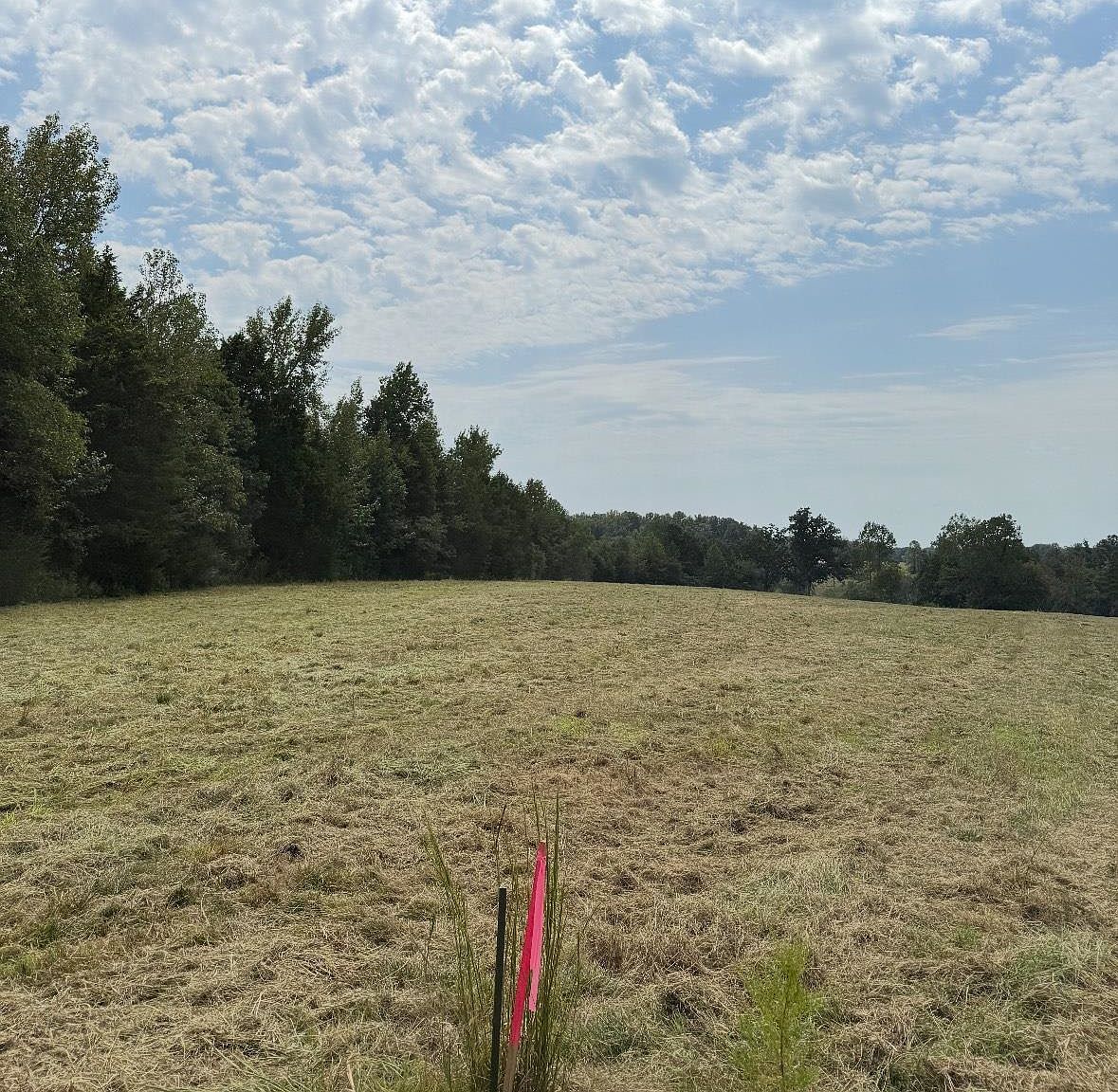 5221 County Road 50 Lexington, AL 35648 | Land/Lot