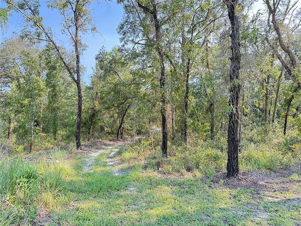 11096 Marsh Wren Ave LOT 7 Brooksville, FL 34614  | Land/Lot