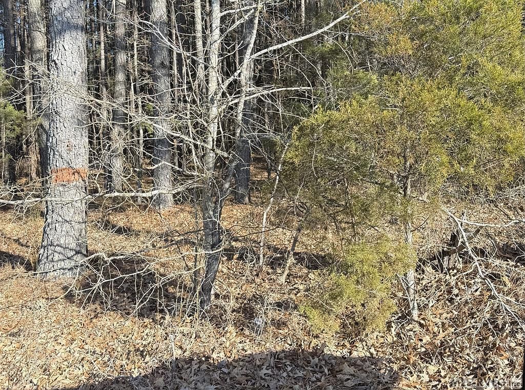 64AC Grandy Rd Brodnax, VA 23920 | Land/Lot