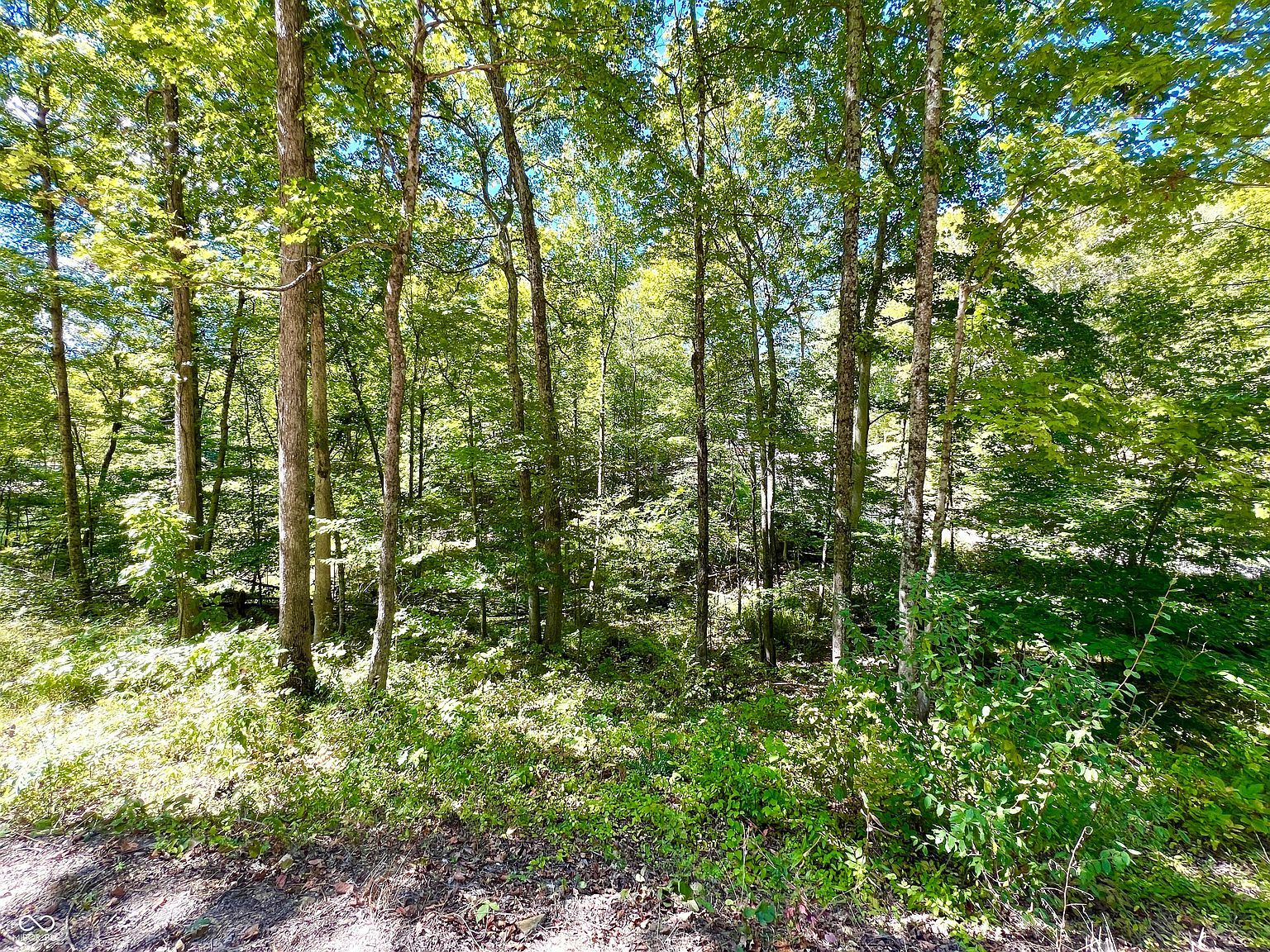 3 Woods Ln Nashville, IN 47448  | Land/Lot