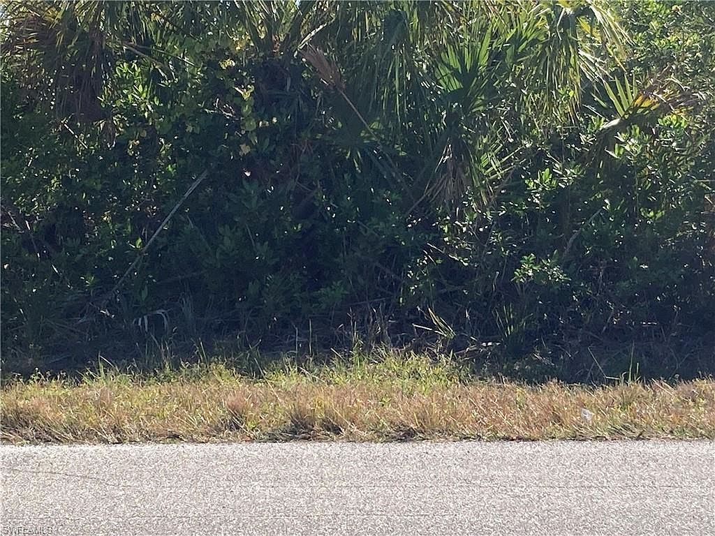 13403 High Springs Ave Pt Charlotte, FL 33981 | Land/Lot