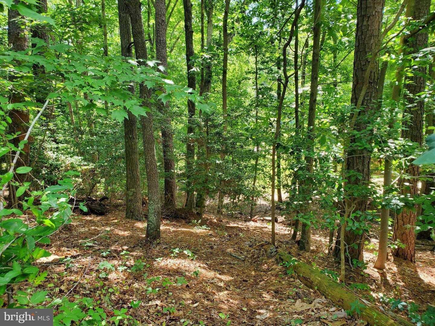 11522 San Rafael Road, Lusby, MD, USA, 20657  | Land/Lot