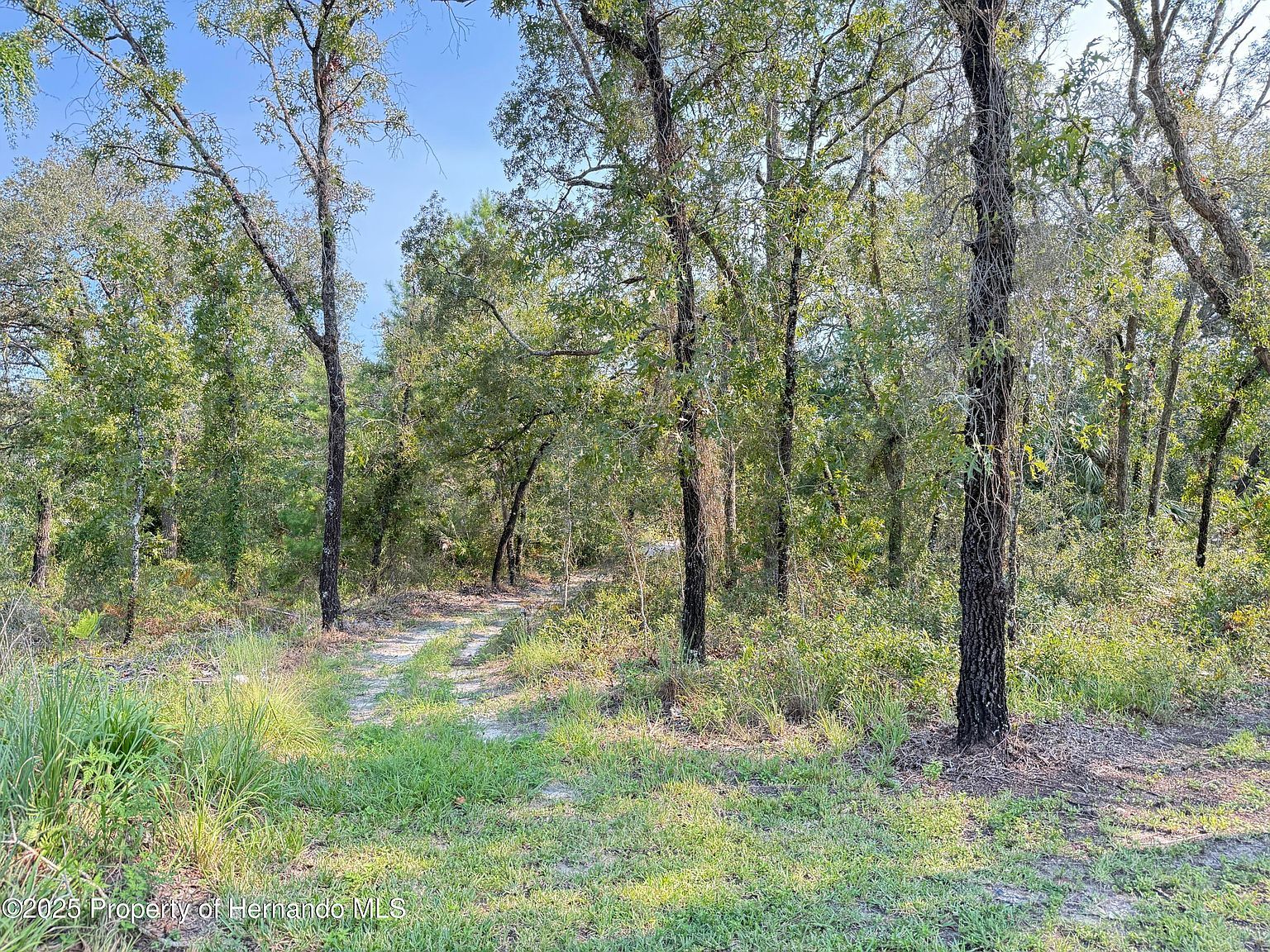 0 Marsh Wren Ave Brooksville, FL 34614 | Land/Lot