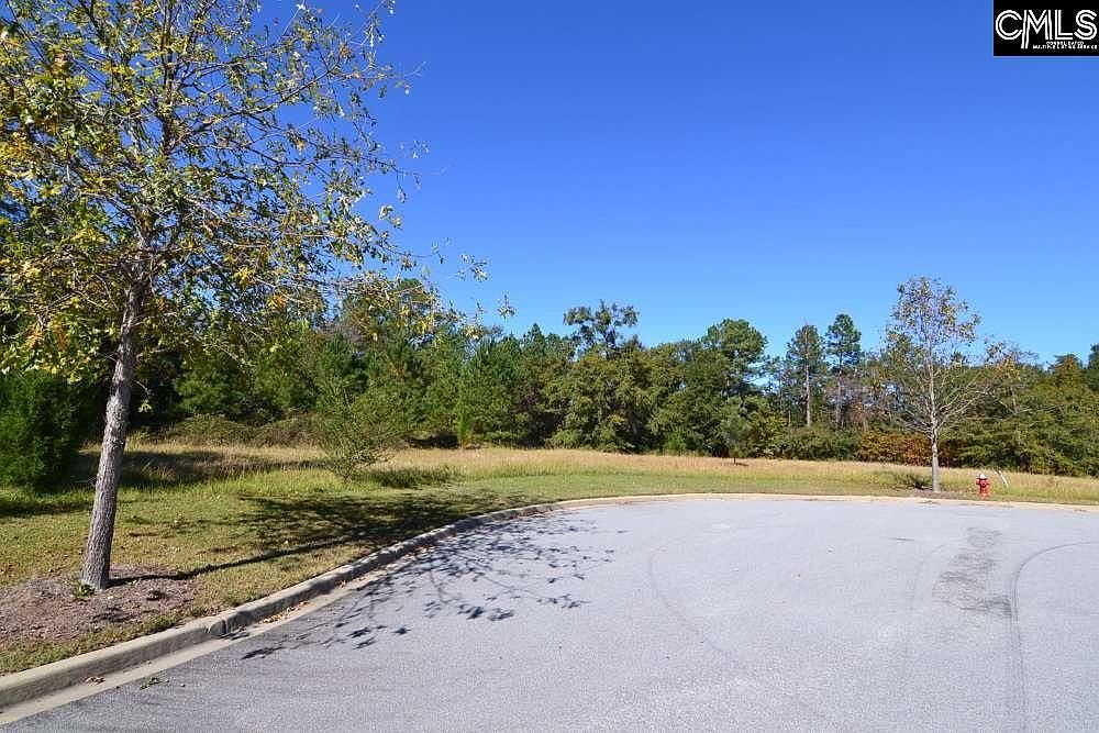 15 Blythe View Ct #9 Blythewood, SC 29016  | Land/Lot