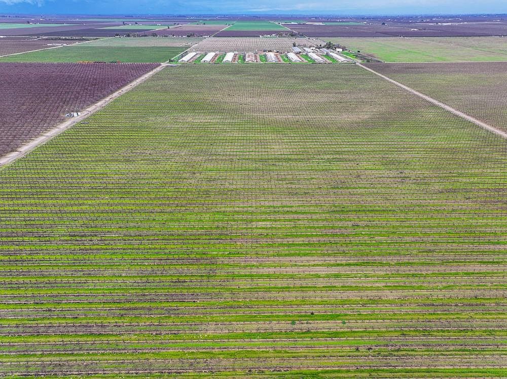 0 S Plumas Ave Kerman, CA 93630  | Land/Lot