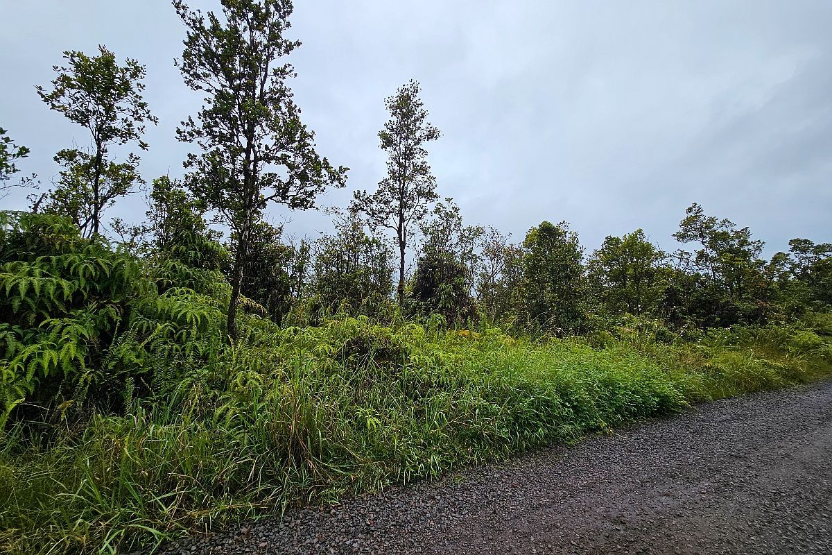 Makoa Rd Volcano, HI 96785 | Land/Lot