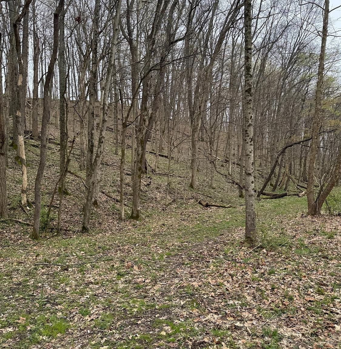 6 Stony Hollow Rd Georgetown, OH 45121 | Land/Lot