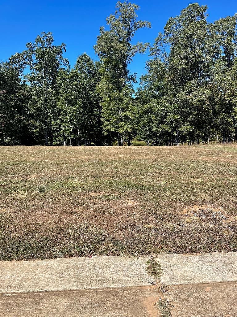 0 Kyle Road Southern Shores Point LOT 103 Huntingdon, TN 38344  | Land/Lot