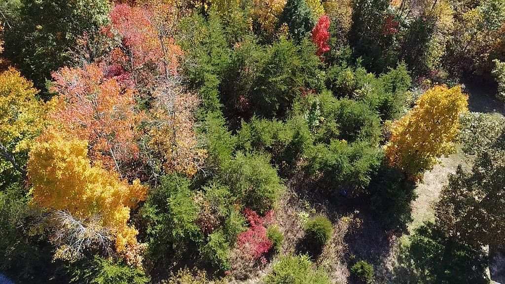 LOT 52 Bee Tree Dr Peterstown, WV 24963 | Land/Lot