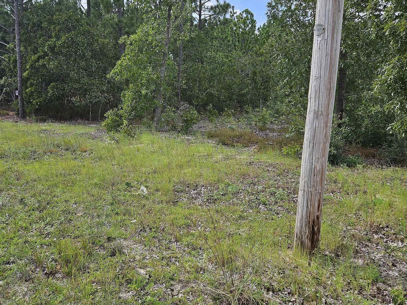 736 Bush Berry Rd Pelion, SC 29123  | Land/Lot