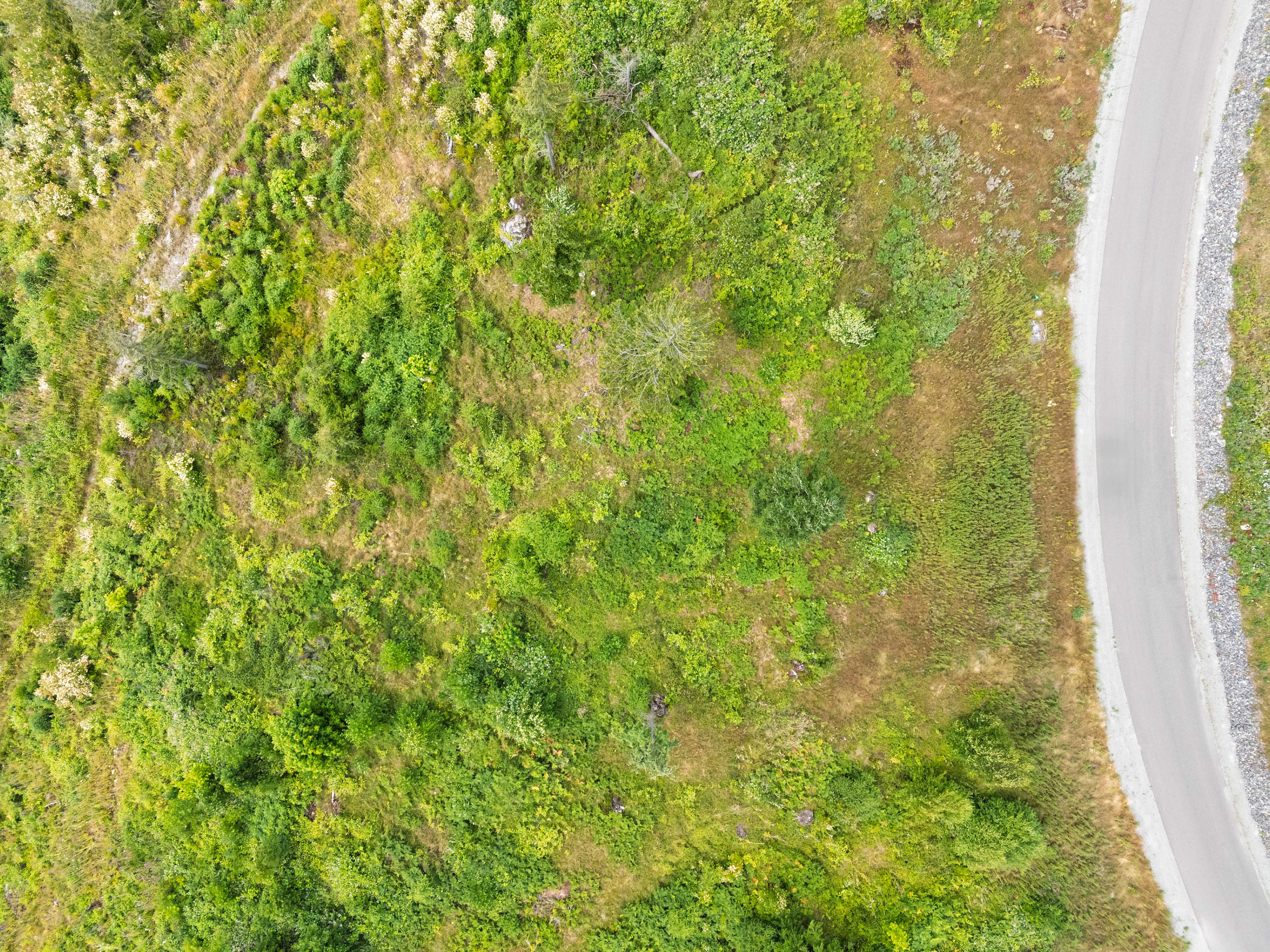 3284 Blanchard Knob Trl, Burlington, WA, USA, 98233  | Land/Lot