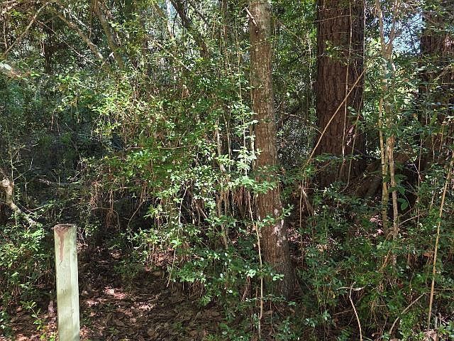 0 Berwick St Vidor, TX 77662 | Land/Lot