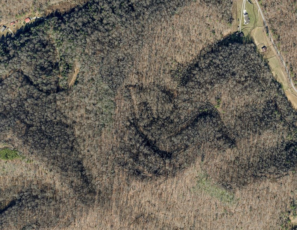 0 Right Fork Maces Creek Rd Viper, KY 41774  | Land/Lot