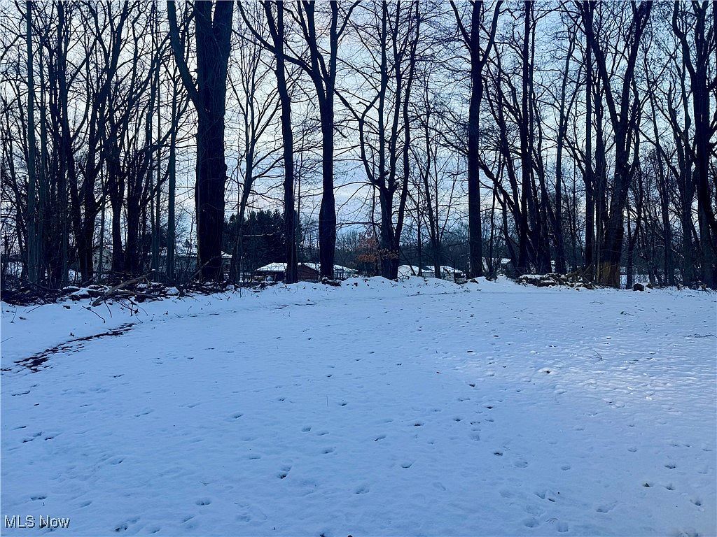 Newton St Tallmadge, OH 44278 | Land/Lot