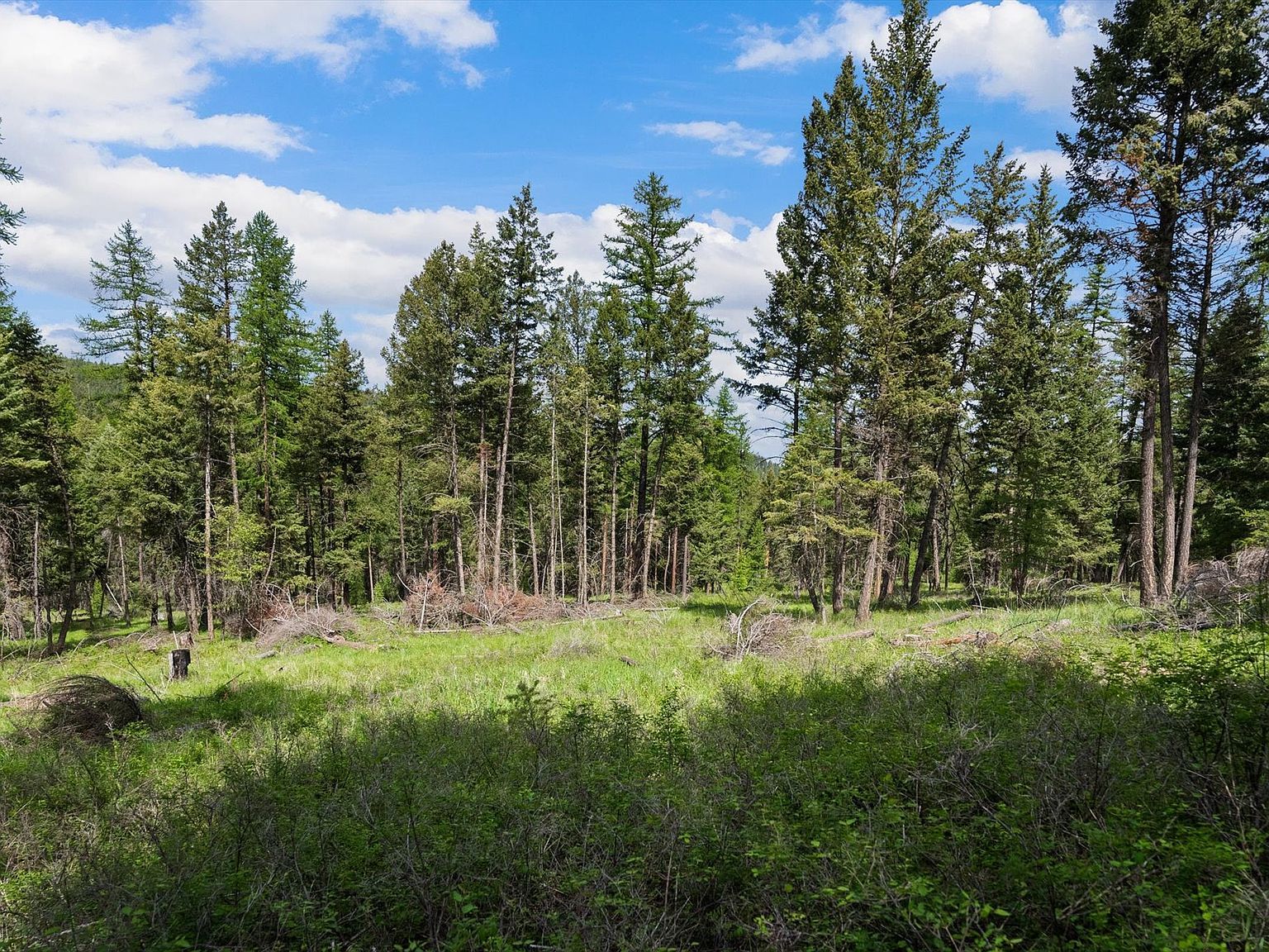 437 Buffalo Trl Somers, MT 59932  | Land/Lot