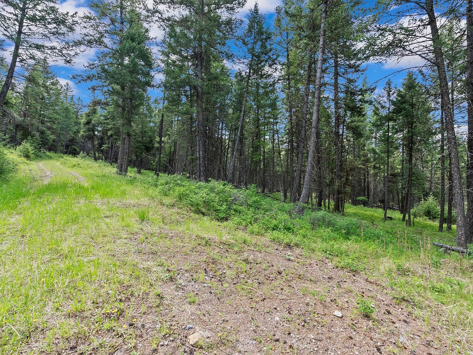 433 Buffalo Trl Somers, MT 59932  | Land/Lot