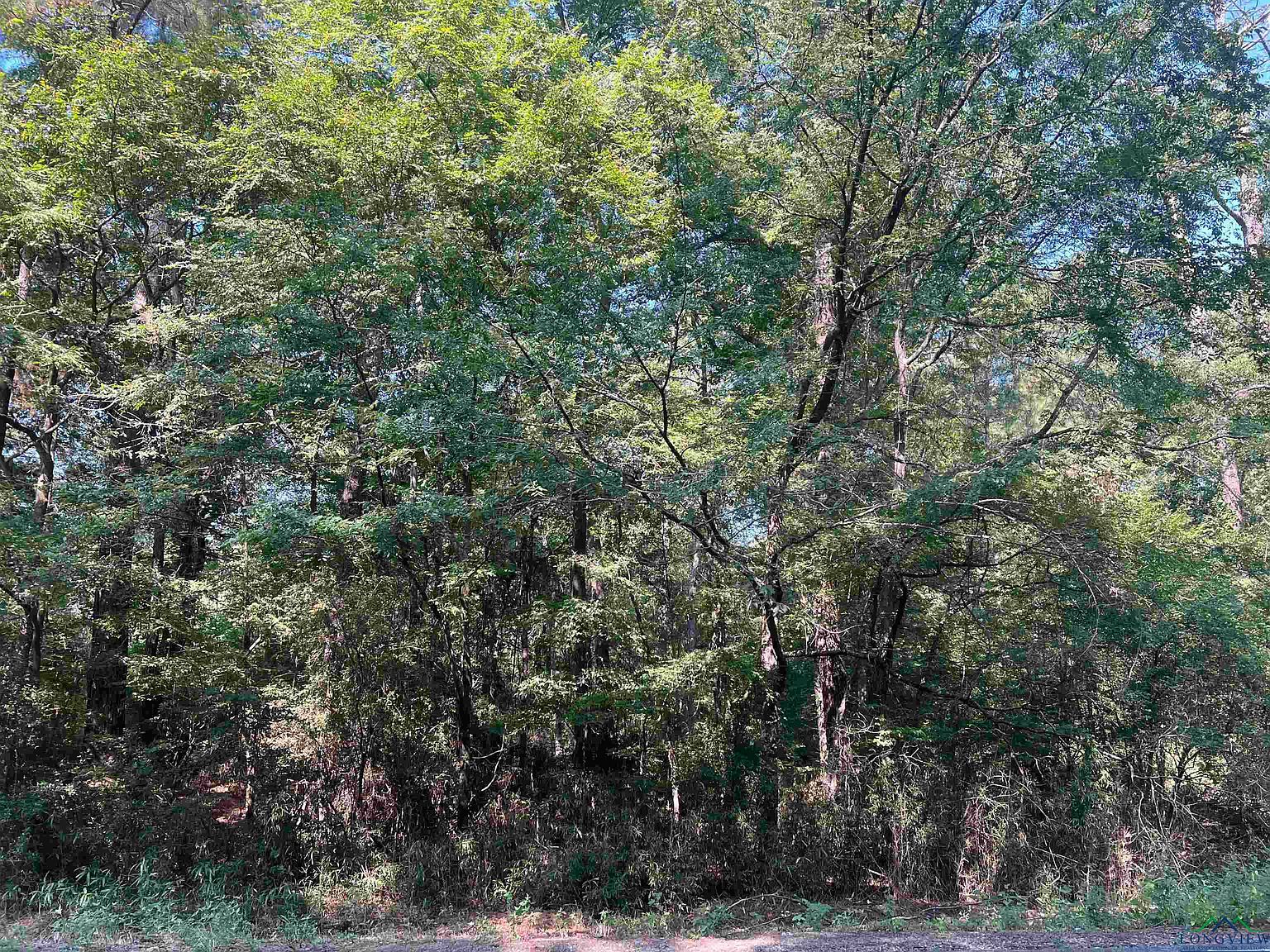 4127 Fm 139 Joaquin, TX 75954  | Land/Lot