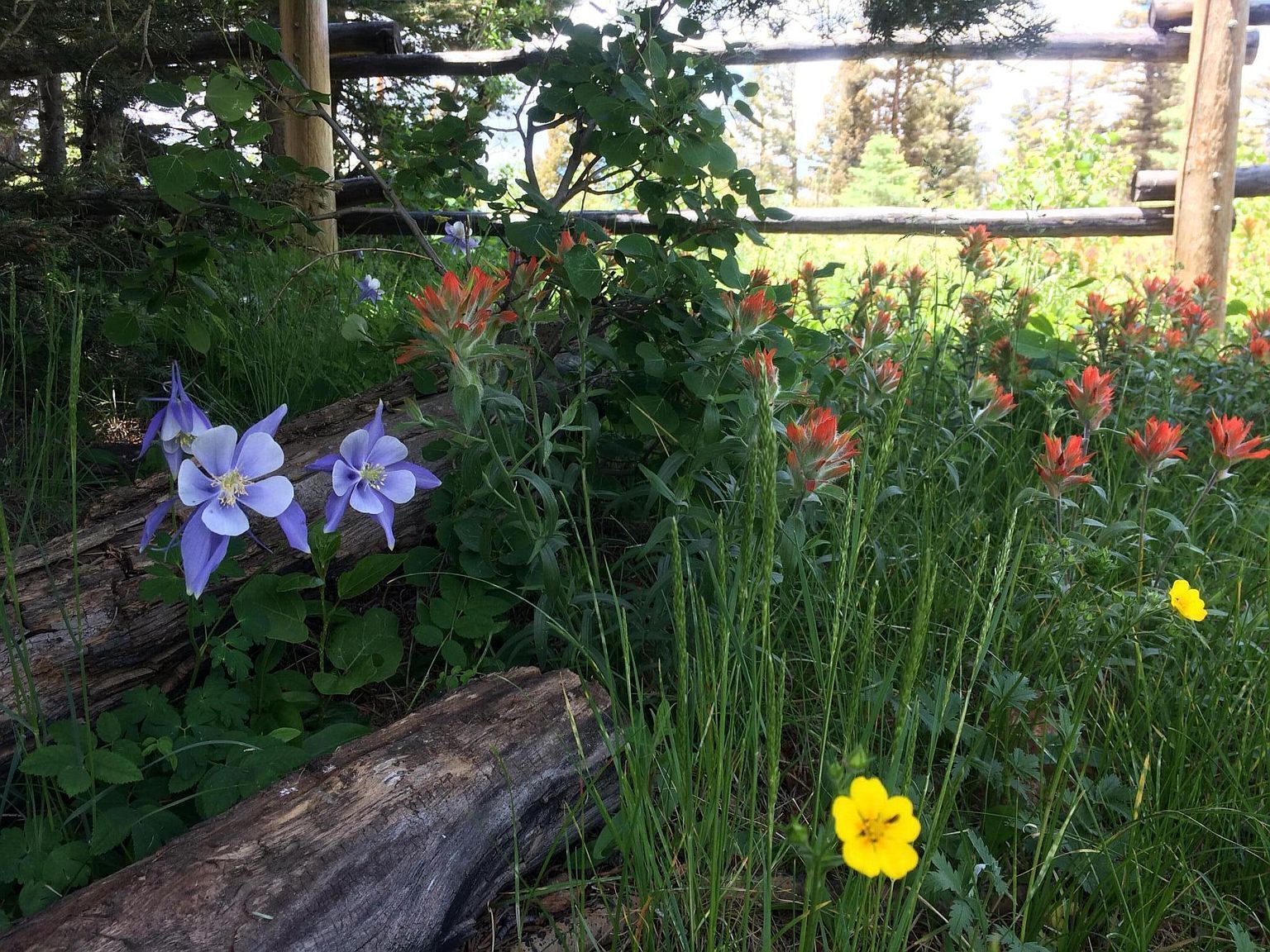 22222 Lillie Ln Weston, CO 81091 | Single Family