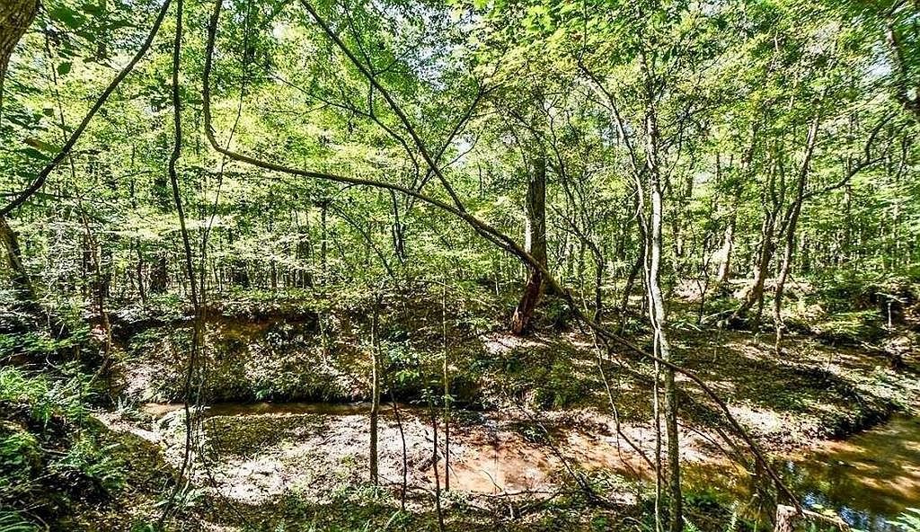 1241 Lassiter Rd Forsyth, GA 31029  | Single Family