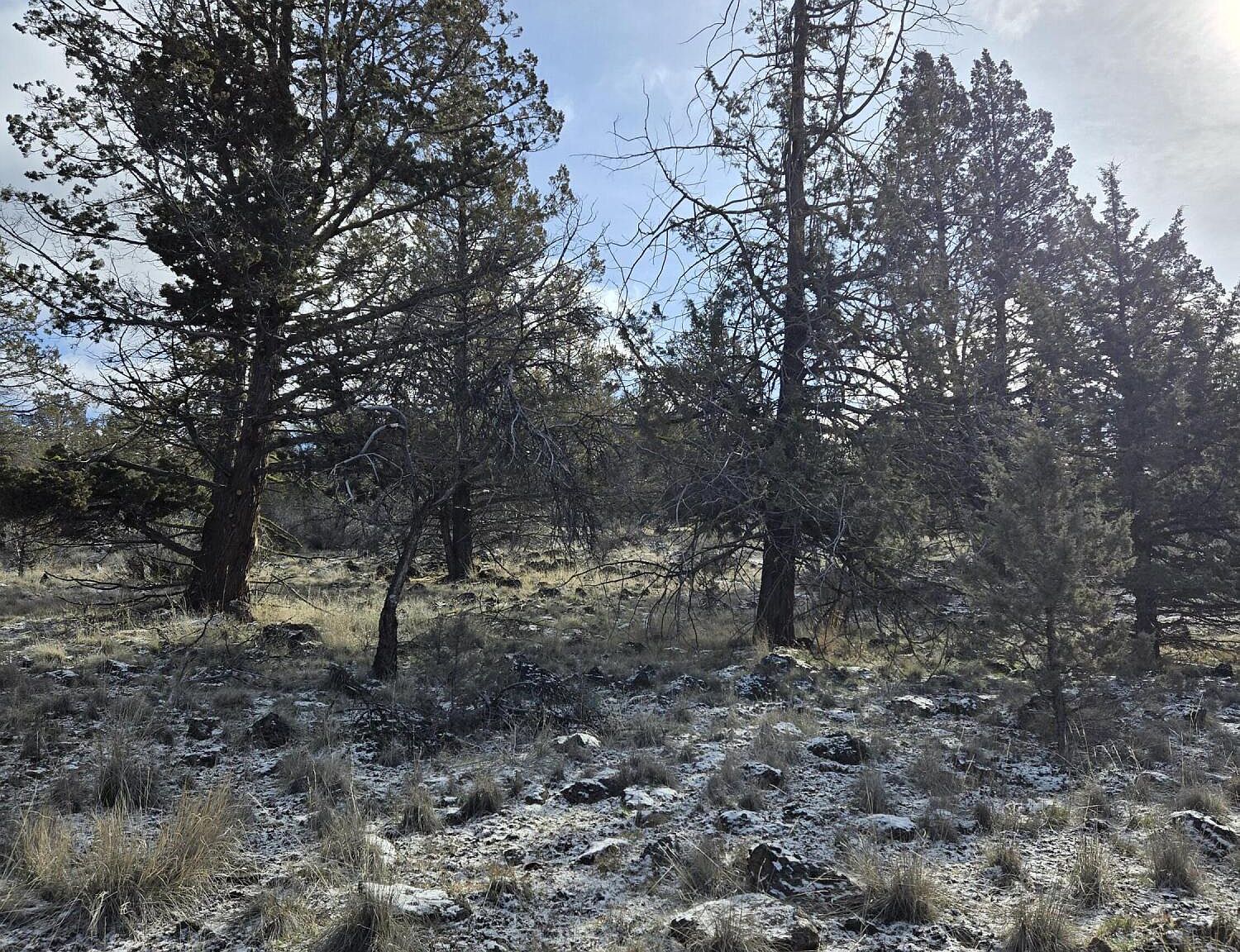 Lots 25 27 Canvasback Dr Bonanza, OR 97623  | Land/Lot