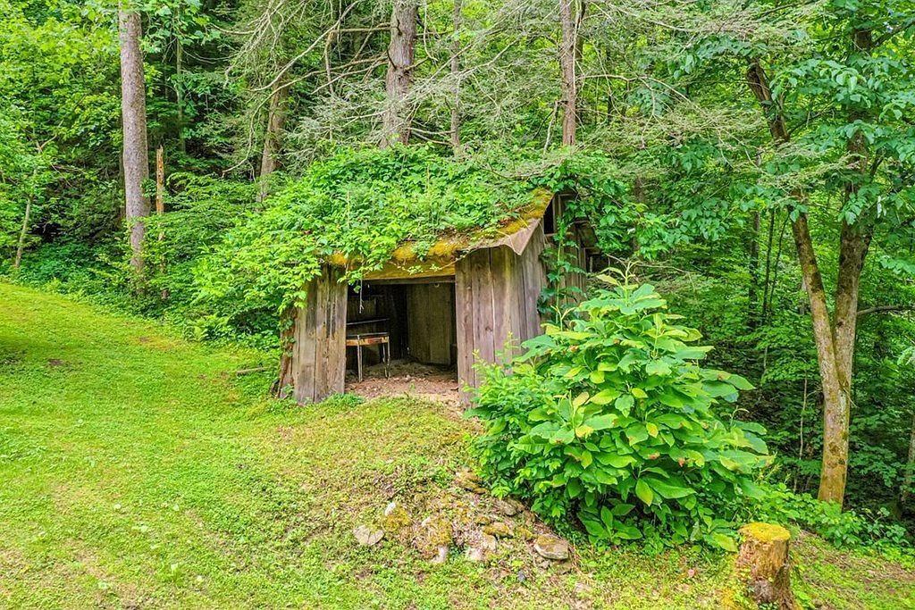 2477 Leemaster Dr Vansant, VA 24656  | Single Family