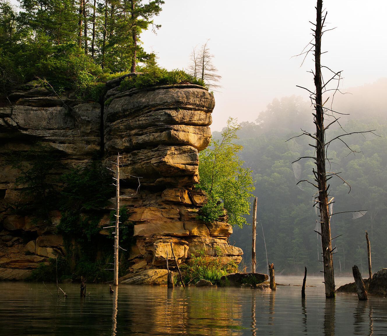 103 Open Fork Rd West Liberty, KY 41472  | Single Family