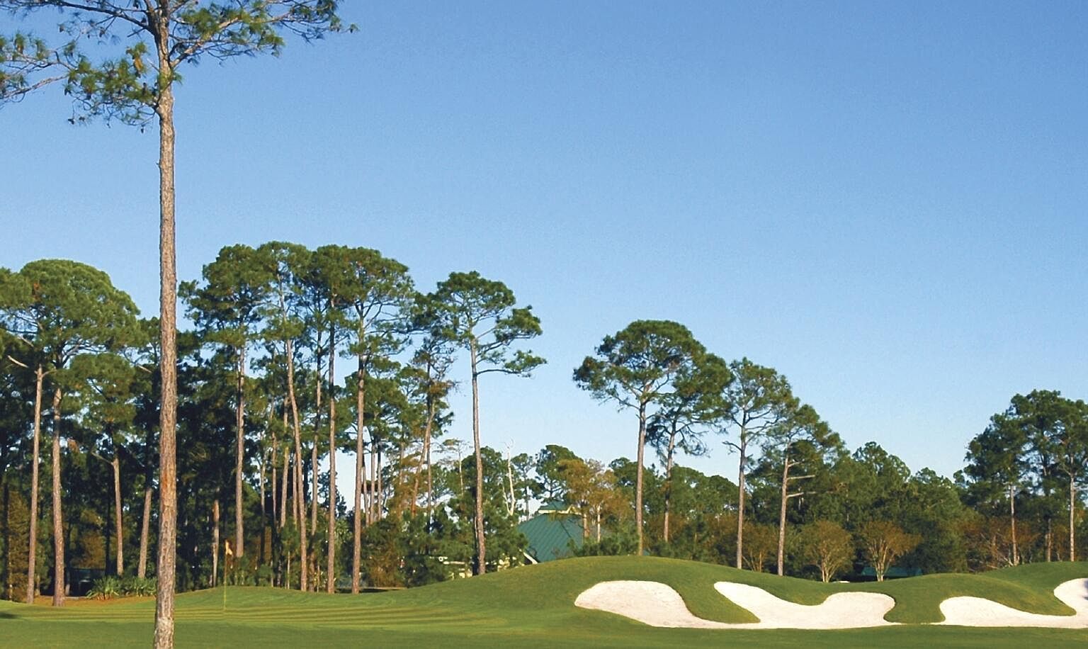 9600 Grand Sandestin Blvd UNIT 3401 Miramar Beach, FL 32550  | Condominium