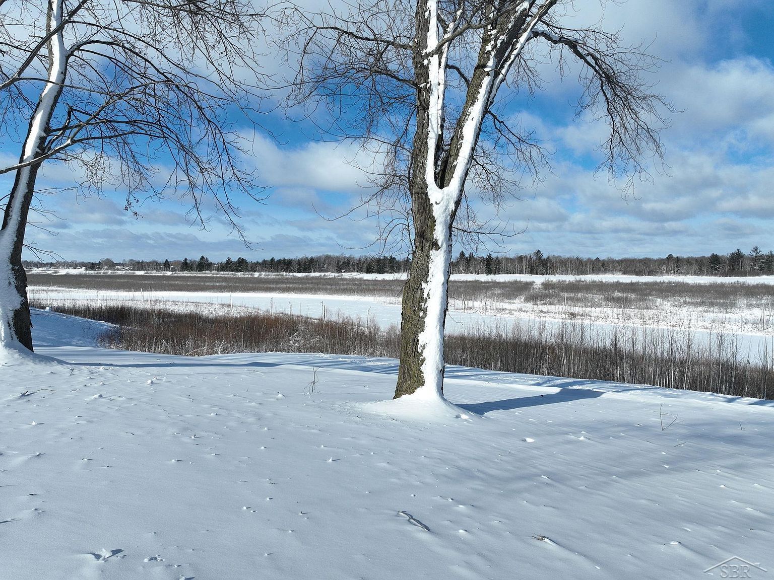 285 E Grace Ct Hope, MI 48628 | Single Family