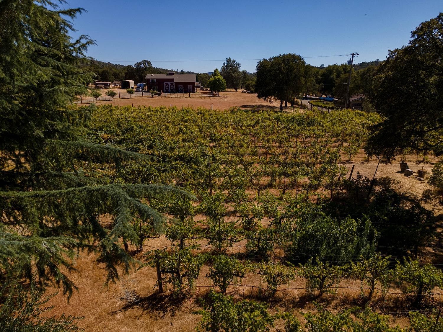 1000 Aqua Haven Ct El Dorado Hills, CA 95762  | Single Family