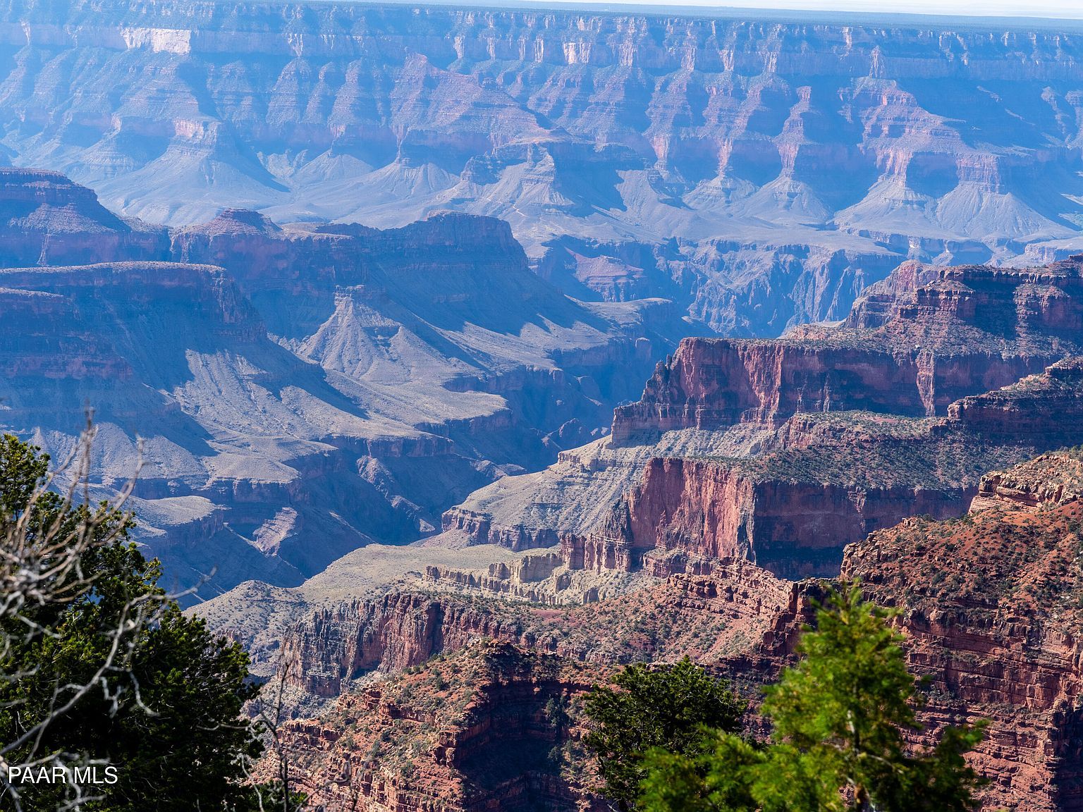 770 Forest Service 461 Rd #461 Fredonia, AZ 86022  | Single Family