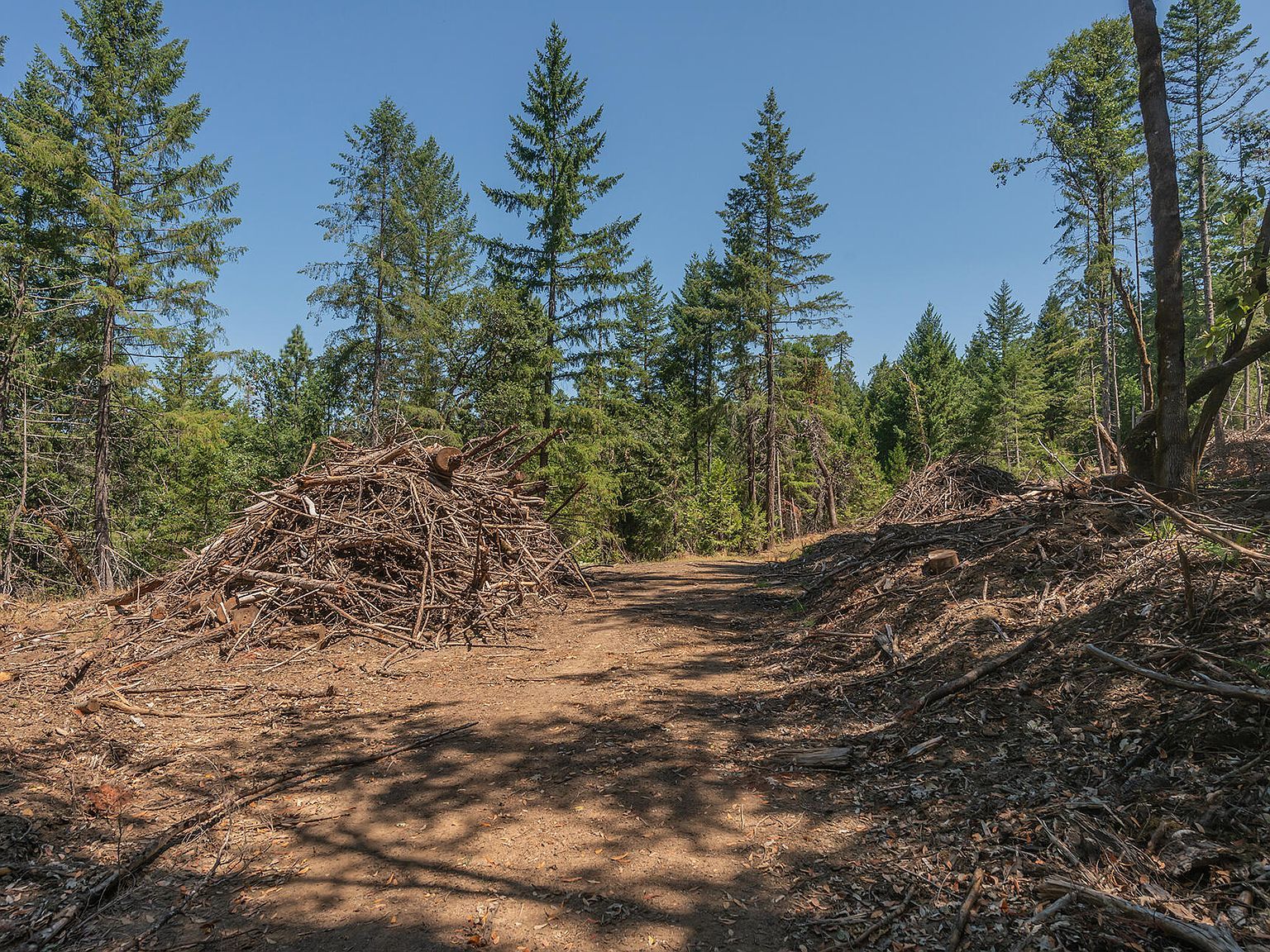 6900 Line Gulch Zenia, CA 95595  | Land/Lot