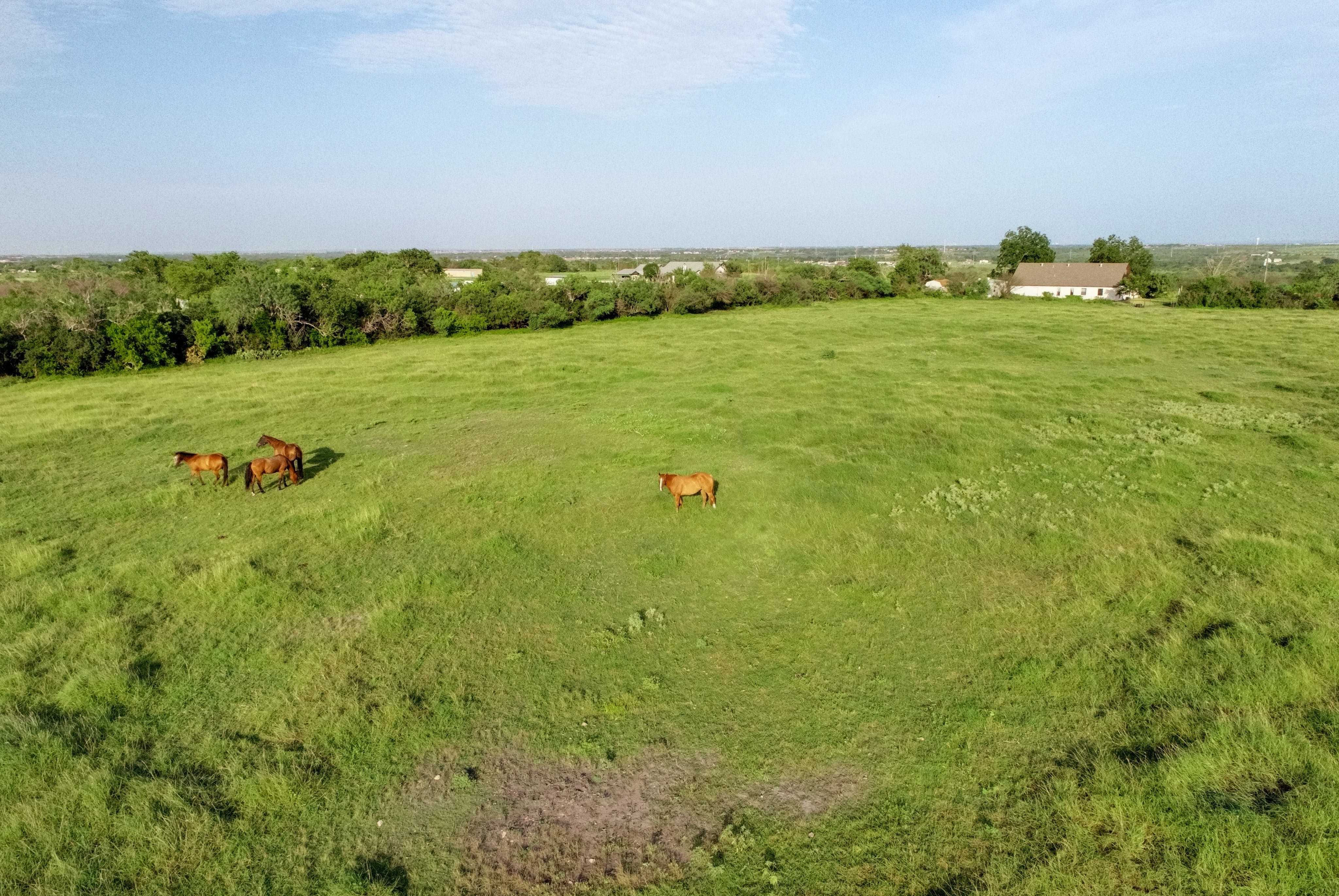 1280 Union Wine Road, New Braunfels, TX, USA, 78130 | Single Family