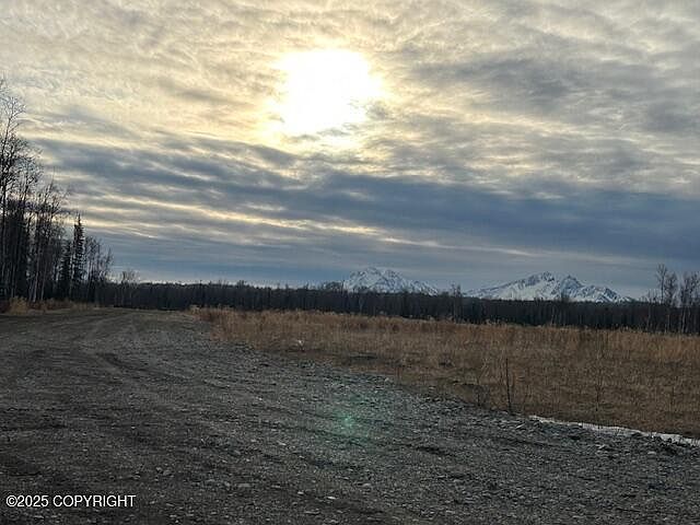8471 W Misty Lake Cir Wasilla, AK 99623  | Land/Lot