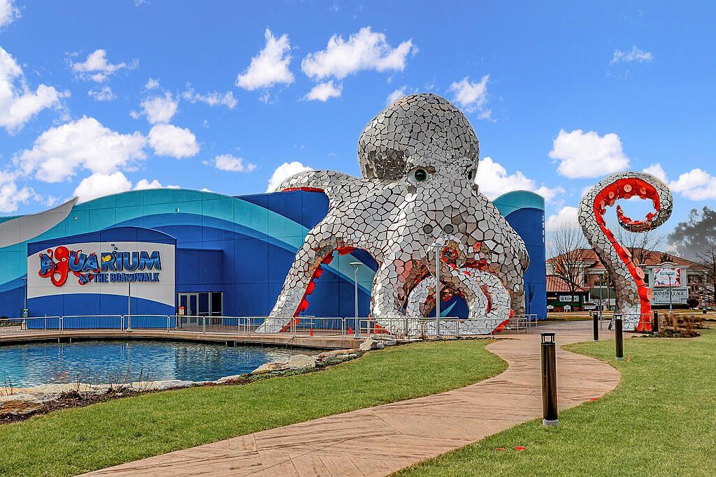 160 Mulligan Ln BUILDING 8 Branson, MO 65616 | Condominium