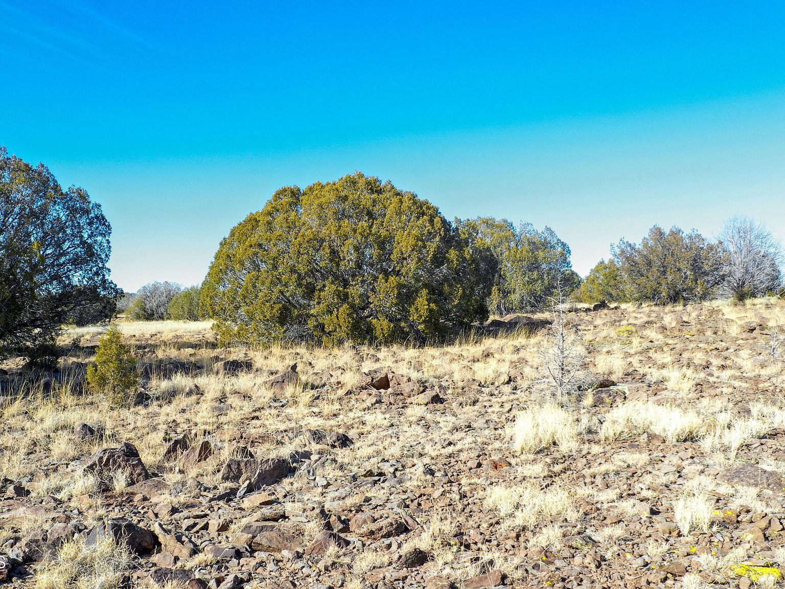LOT 102 N Raz Rd Williams, AZ 86046  | Land/Lot
