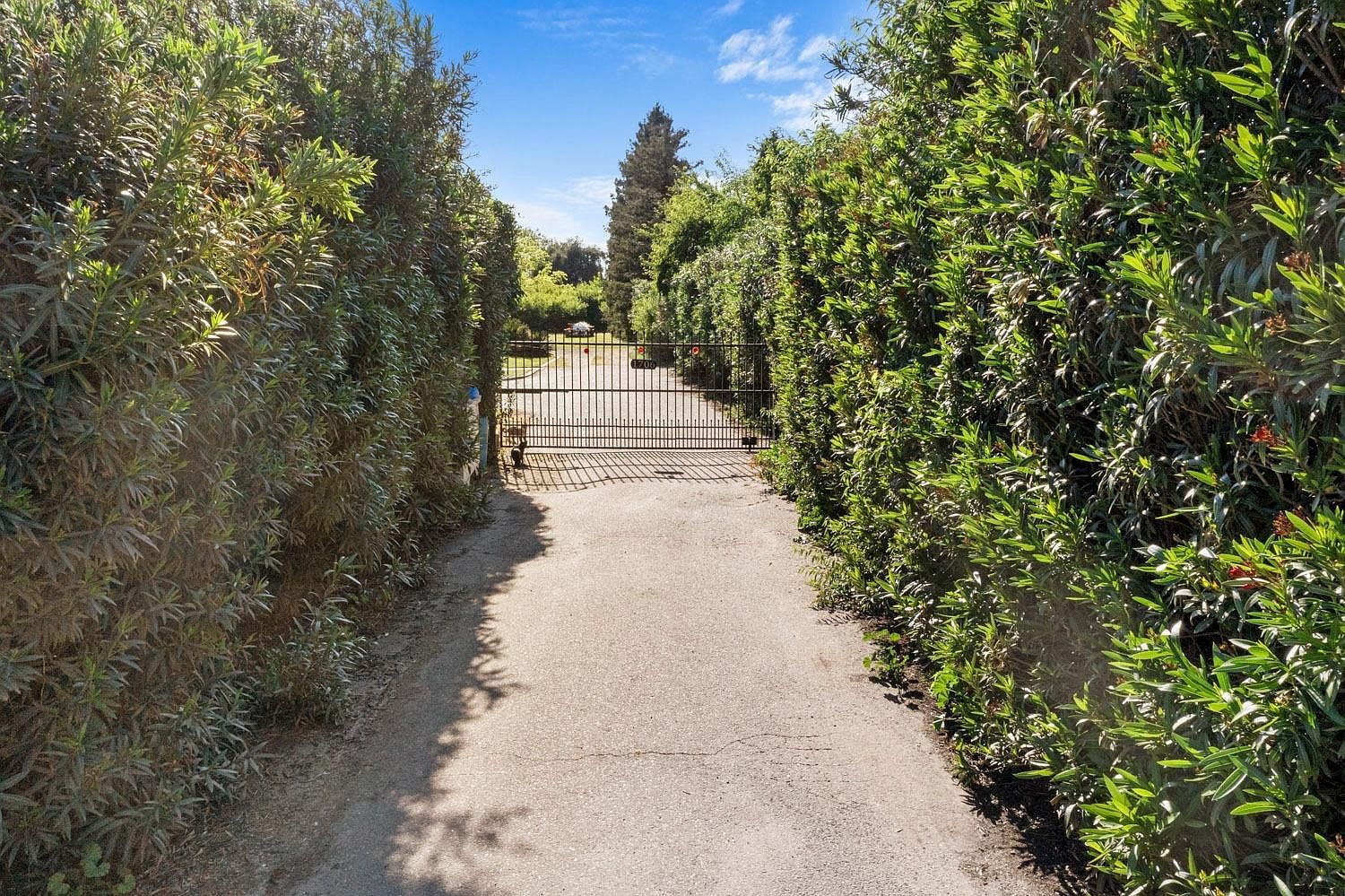 1706 Houser Ln Modesto, CA 95358 | Single Family