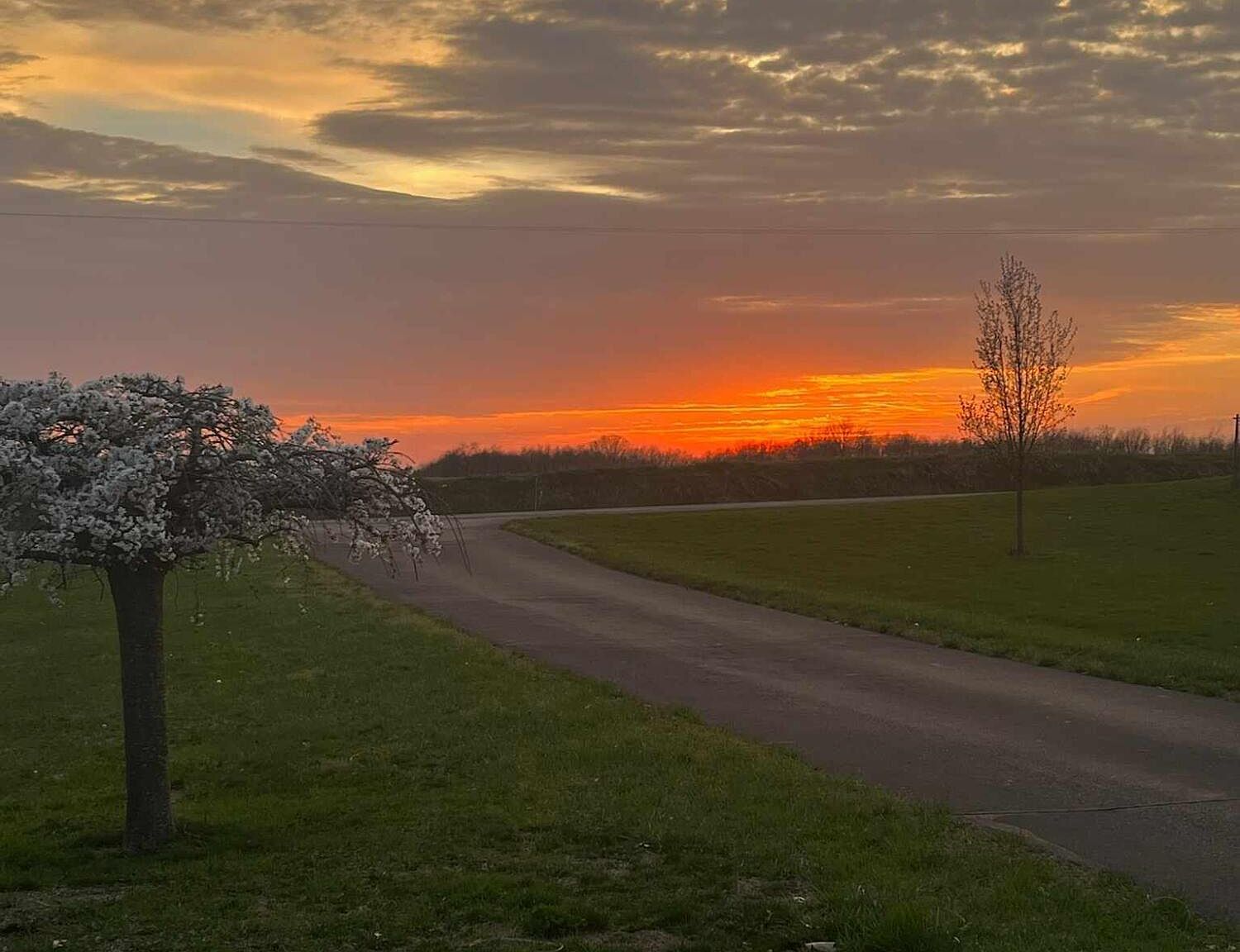 5007 S 42nd St Climax, MI 49034  | Single Family