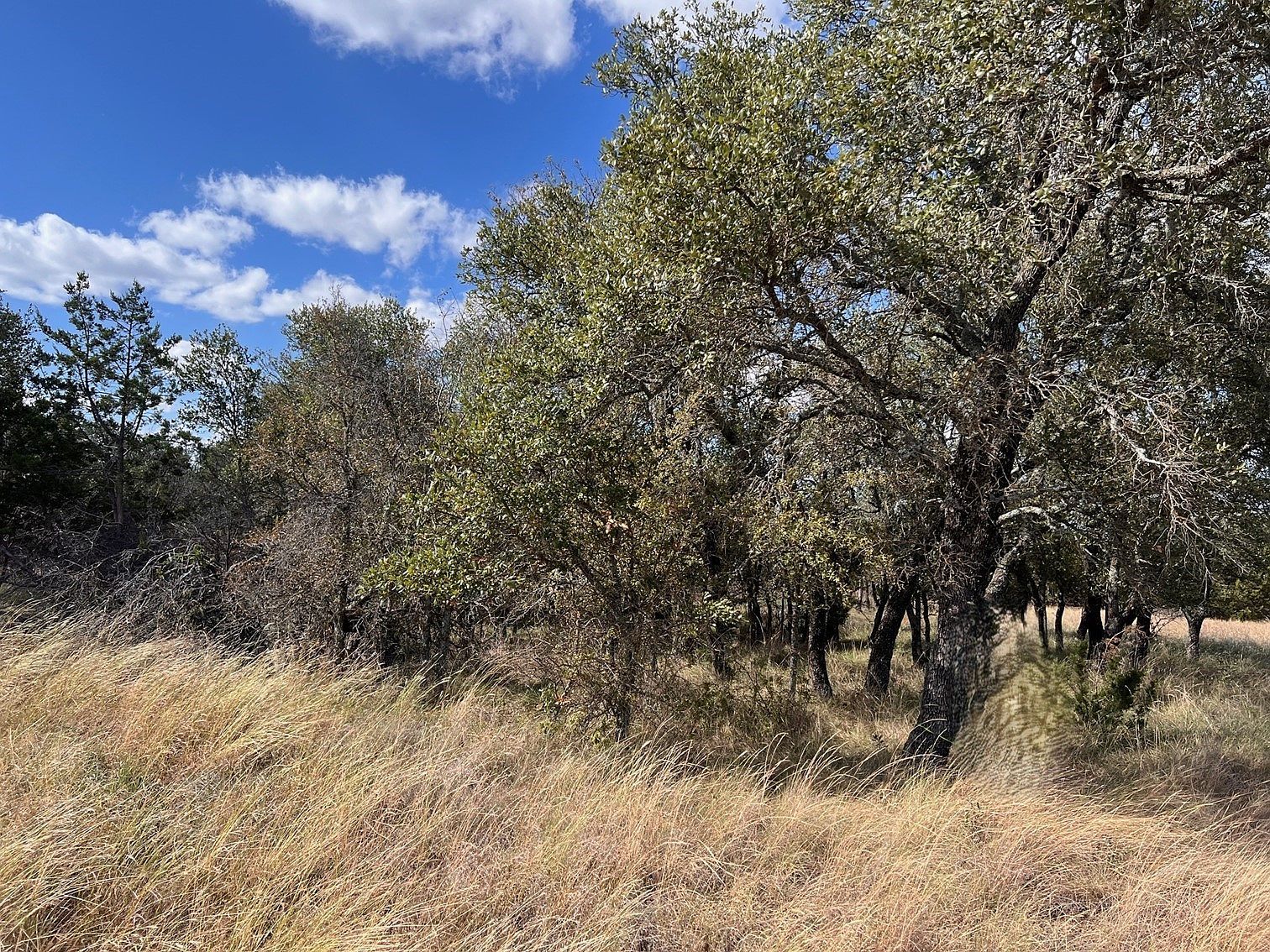 31 County Road 600 Brownwood, TX 76801  | Land/Lot