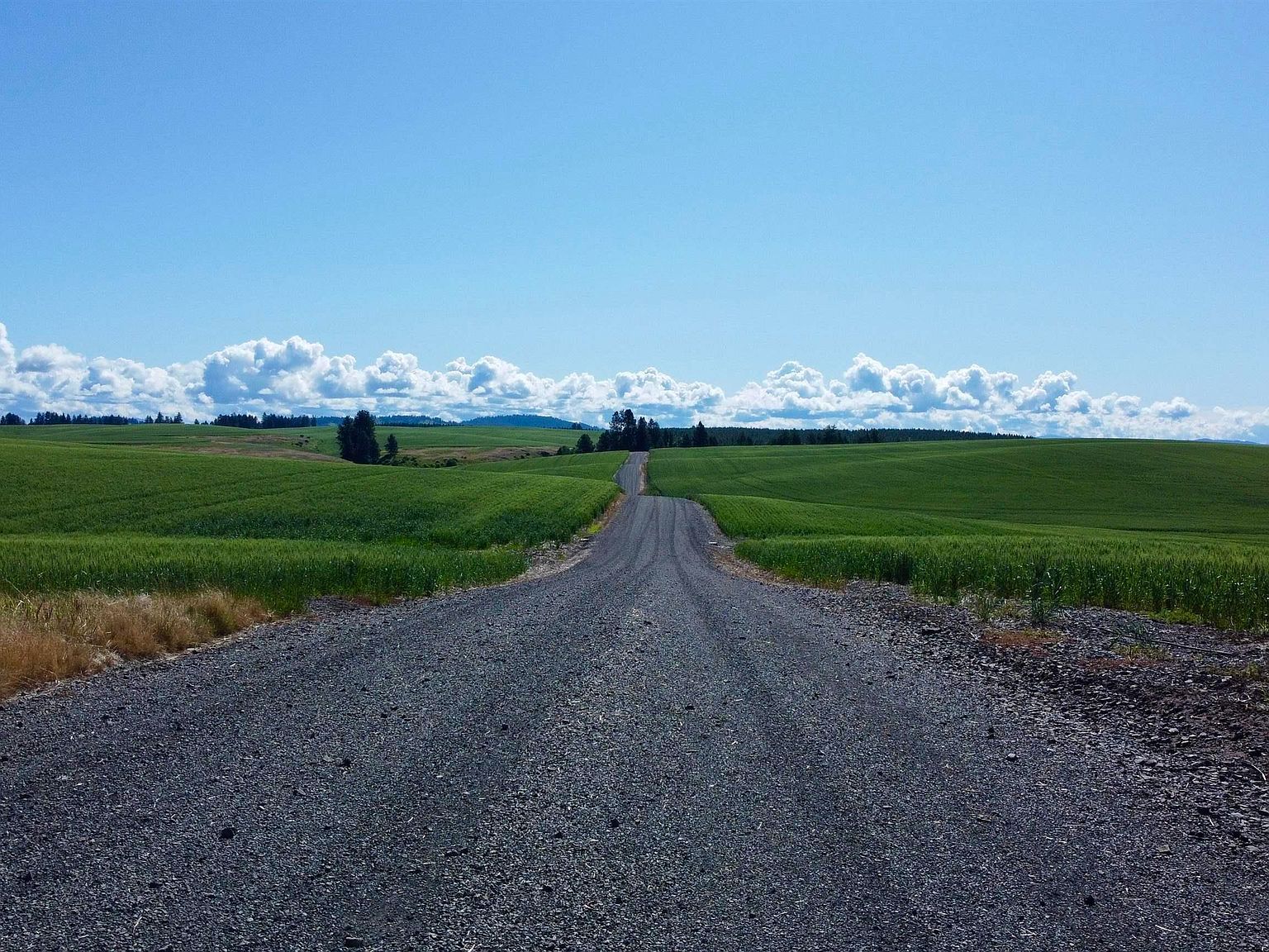 Basket Rd PARCEL 2 Nezperce, ID 83543  | Land/Lot