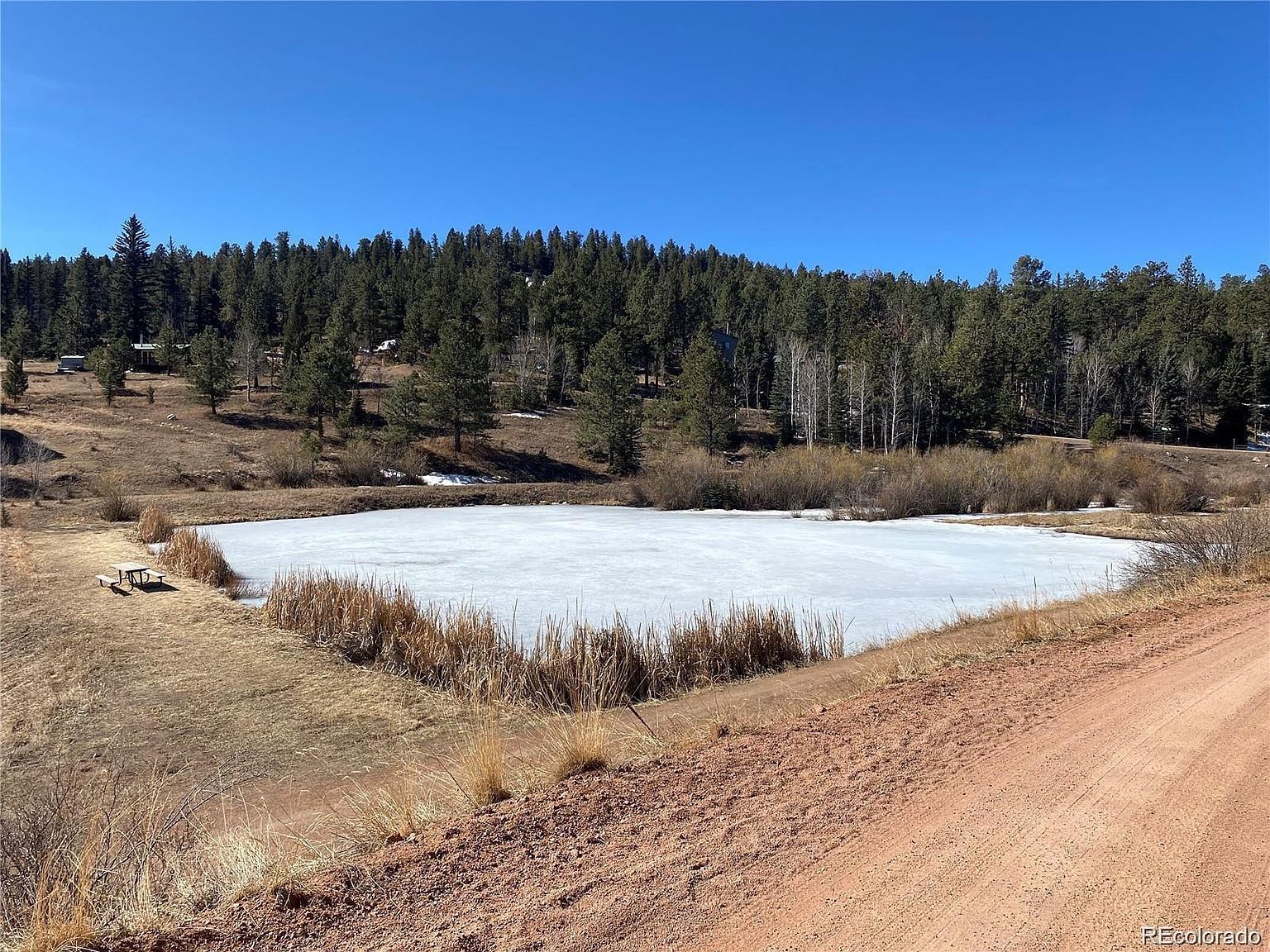 12373 S Polly Dr Pine, CO 80470  | Land/Lot