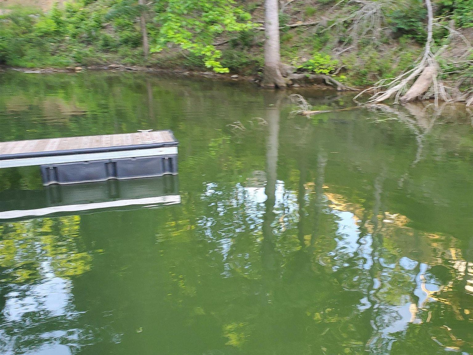 LOT 7 County Road 373 Crane Hill, AL 35053  | Land/Lot