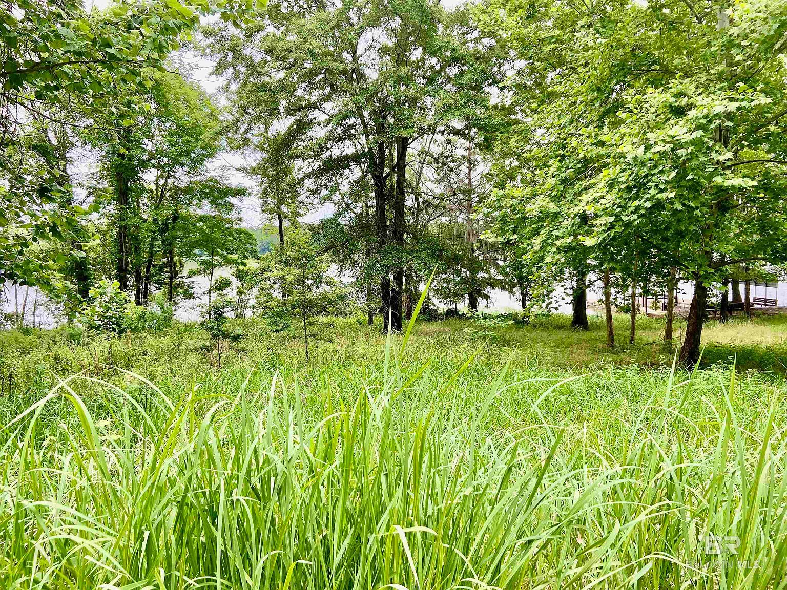 LOT 58 Riverview Lndg #58 & 58 Camden, AL 36726  | Land/Lot
