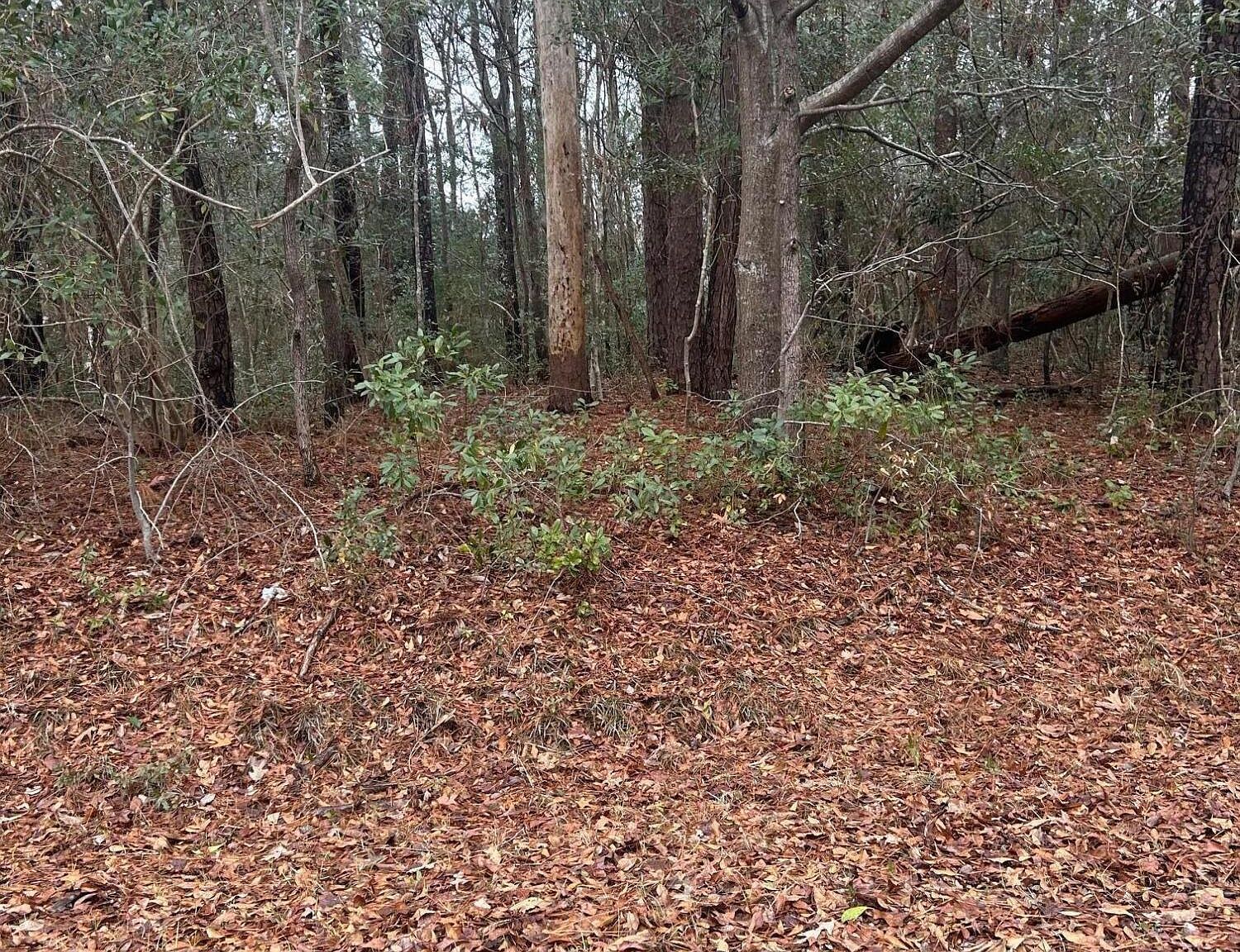 103 Dogwood Ln Sneads Ferry, NC 28460  | Land/Lot
