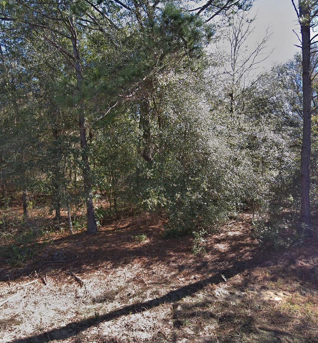0 Maltas Ave LOT 6 Interlachen, FL 32148 | Land/Lot